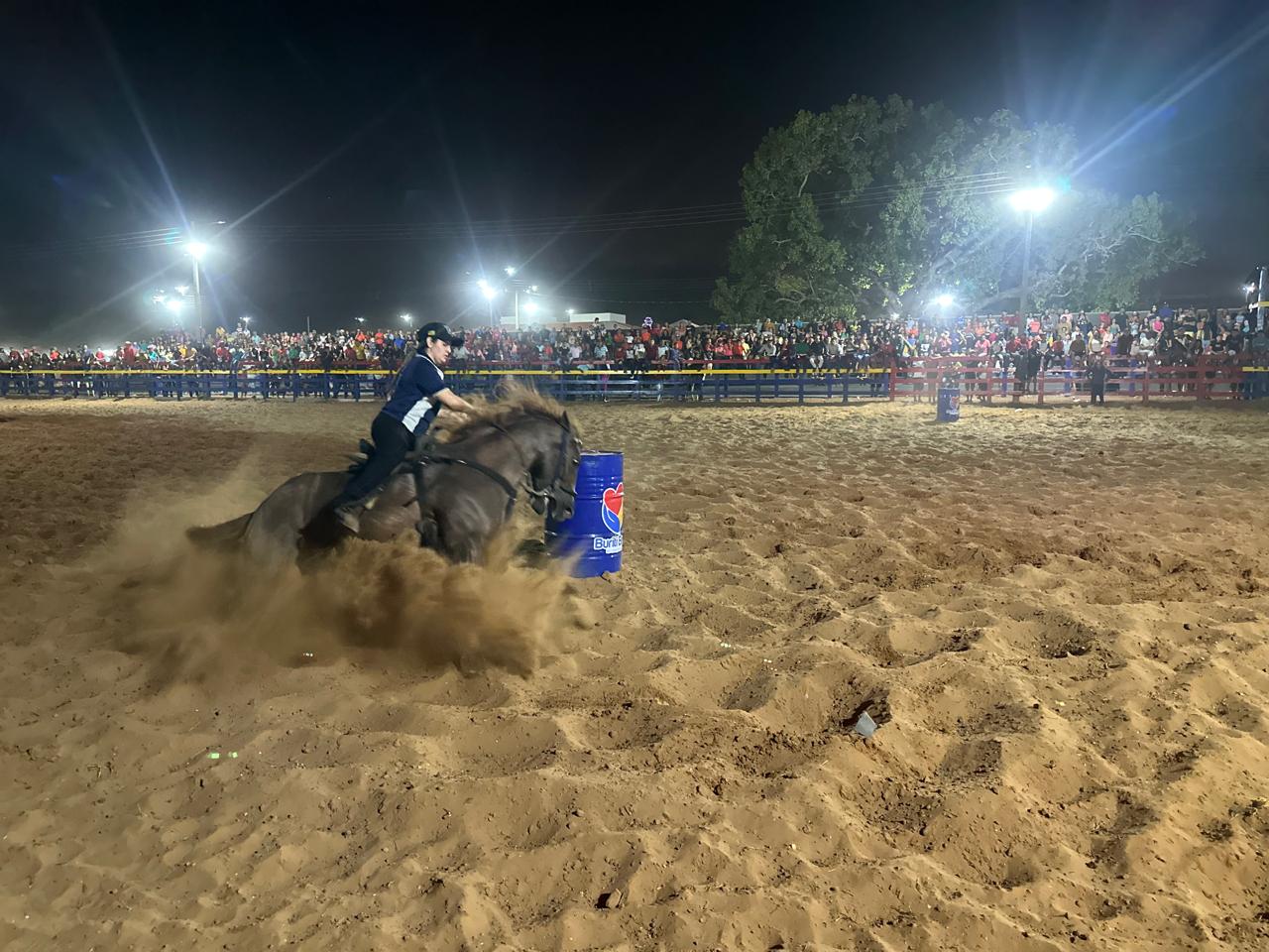 Slide 8